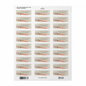 Koraal lint en zeesterren strand etiket (Full Sheet)