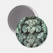 Koraal Magneet (Voorkant / Achterkant)