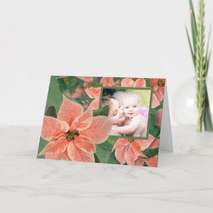 Koraal met schilfers, van koraal Poinsettia Feestdagen Kaart