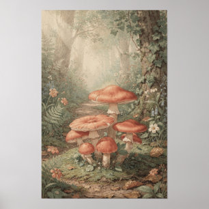 Koraal Paddenstoel Bospad Muur Kunst Poster