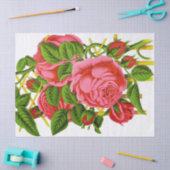 Koraal Roos  Afdrukprobleem Tissuepapier (Craft)
