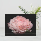 Koraal Roos II Uitnodigingen tot hernieuwing van d (Staand voorkant)