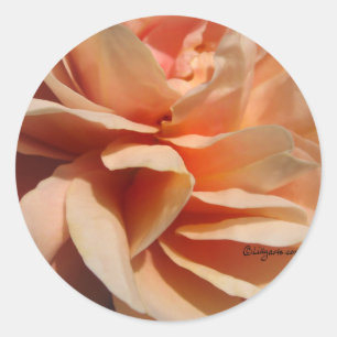 Koraal Roos Wedding Envelope Seal Ronde Sticker