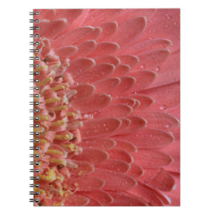 koraal roze Gerbera Daisy Notitieboek