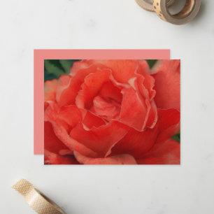 Koraal Roze Roos Bloem Kunst Notitiekaart Set Notitiekaartje