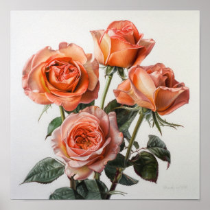 Koraal Rozen Bloemen Art Print Poster