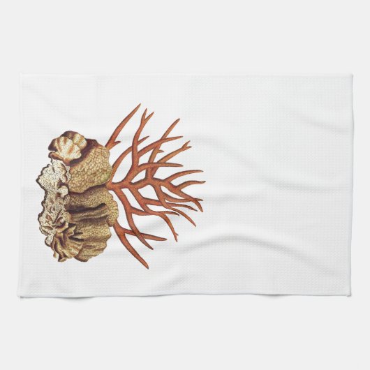 Koraal Theedoek (Horizontaal)