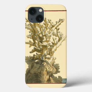 Koraal van het Zee iPhone 13 Hoesje
