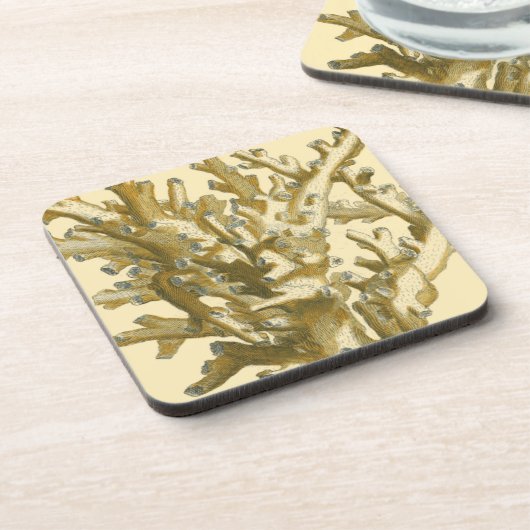 Koraal van het Zee Onderzetter (Linkerzijde)