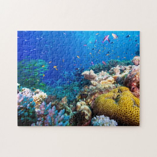 Koraal Zee - Tropische vis en rif - puzzel Legpuzzel (Horizontaal)