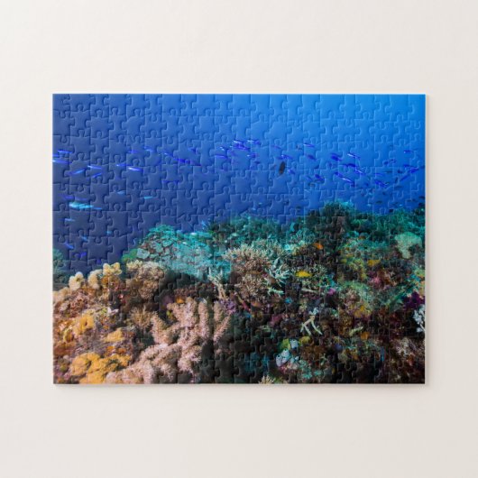 Koraal Zee - Tropische vis en rif - puzzle puzzel Legpuzzel (Horizontaal)