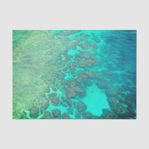 Koraalriefpapier Tissuepapier