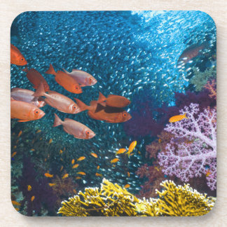 Koraalrif | Bigeye of Goggle-Oog Drankjes Onderzetter