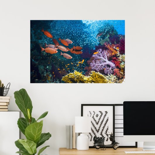 Koraalrif | Bigeye of Goggle-Oog Poster (Thuiskantoor)
