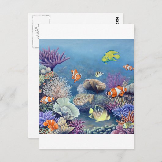 Koraalrif Briefkaart (Voorkant / Achterkant)
