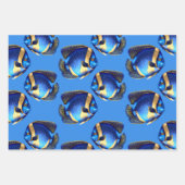 Koraalrif engel vis blauw sinaasappel patroon inpakpapier vel (Voorkant)