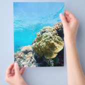 Koraalrif Flyer (Hand)