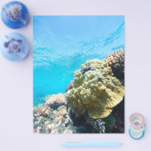 Koraalrif Flyer (Enkel)