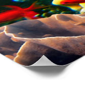 Koraalrif kleurig, poster (Hoek)