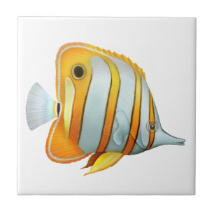 Koraalrif koperband Butterfly Fish Tile Tegeltje