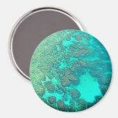 Koraalrif magnet magneet (Voorkant / Achterkant)