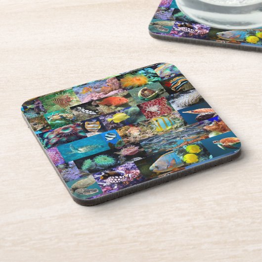 Koraalrif Marien leven: vis en dieren, modern Bier Onderzetter (Linkerzijde)