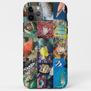 Koraalrif Mariene Vis Dieren Foto's, Educatief iPhone 11 Pro Max Hoesje