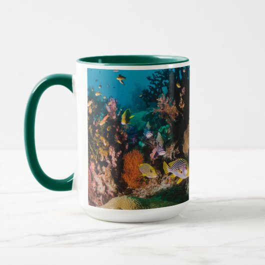 Koraalrif-mokken Mok (Links)