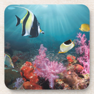 Koraalrif Moorish Idol Bier Onderzetter