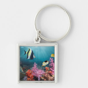 Koraalrif   Moorish Idol Sleutelhanger