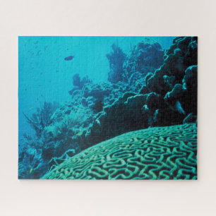 Koraalrif oase legpuzzel