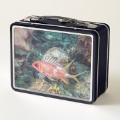 Koraalrif reef langwerpvis vierkant (Achterkant)