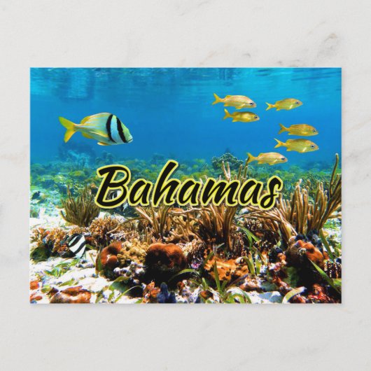 Koraalrif van Bahamas Briefkaart (Voorkant)