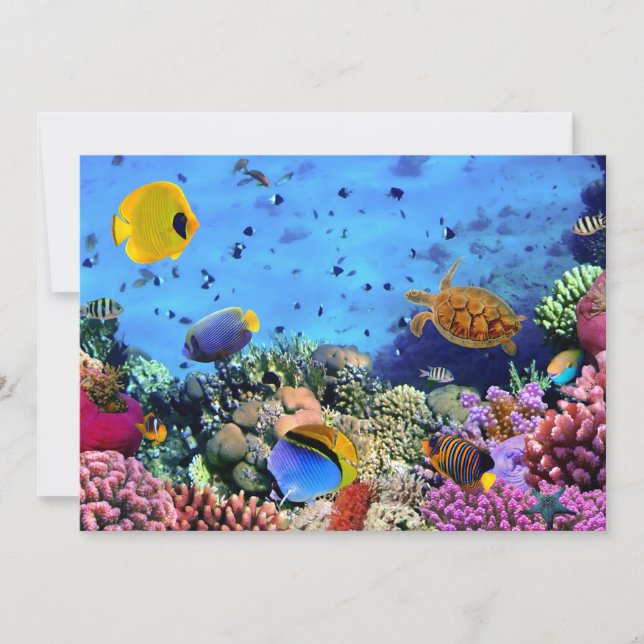 Koraalriffen voor kleurstoffen (Voorkant)