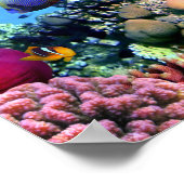 Koraalriffen voor kleurstoffen poster (Hoek)