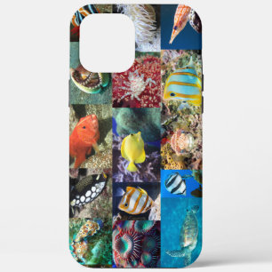 Koraalrifvissen Dieren Marien Leven Wetenschappers iPhone 12 Pro Max Hoesje