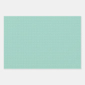 Koraalrood Blush Roze Mint Blauwe Groene Ornamente Inpakpapier Vel (Voorkant 2)