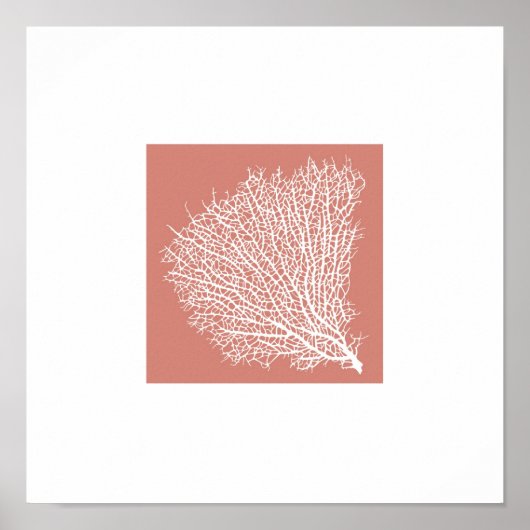 koraaltak poster (Voorkant)