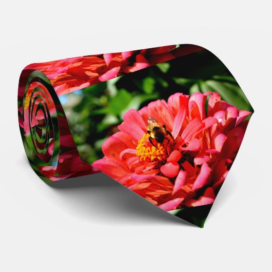 Koraalzink met hommel stropdas (Opgerold)