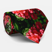 Koraalzink met stropdas voor hommels (Opgerold)