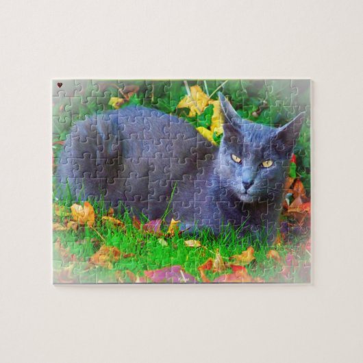 Korat kat legpuzzel (Horizontaal)