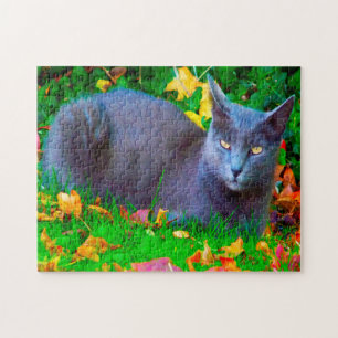 Korat katten. legpuzzel