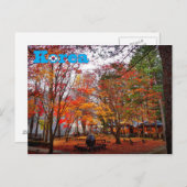 Korea herfst briefkaart (Voorkant / Achterkant)