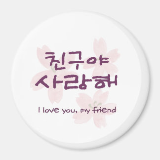 Koreaans Beste Vriend Maanster Magneet