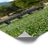 koreaans park poster (Hoek)