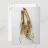 koreaans voedsel , ginseng briefkaart (Voorkant / Achterkant)