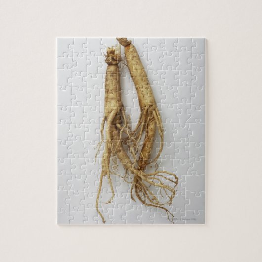 koreaans voedsel , ginseng legpuzzel (Verticaal)