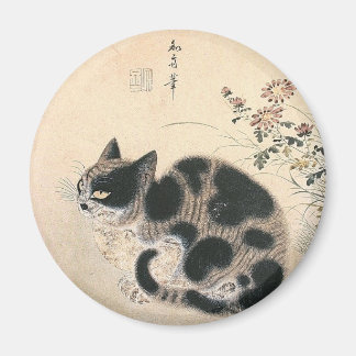 Koreaanse kat kunstwerk magneet