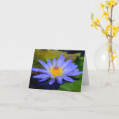 Korenbloem Blauwe Grote Waterlelie Wenskaarten Kaart (Gele Bloem)