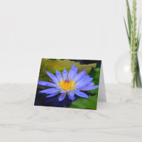 Korenbloem Blauwe Grote Waterlelie Wenskaarten